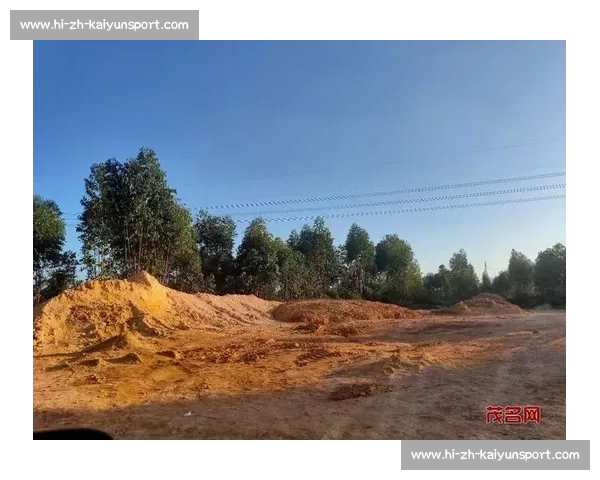 卢琦政回应争议：恳请理性看待，承诺妥善处理风波